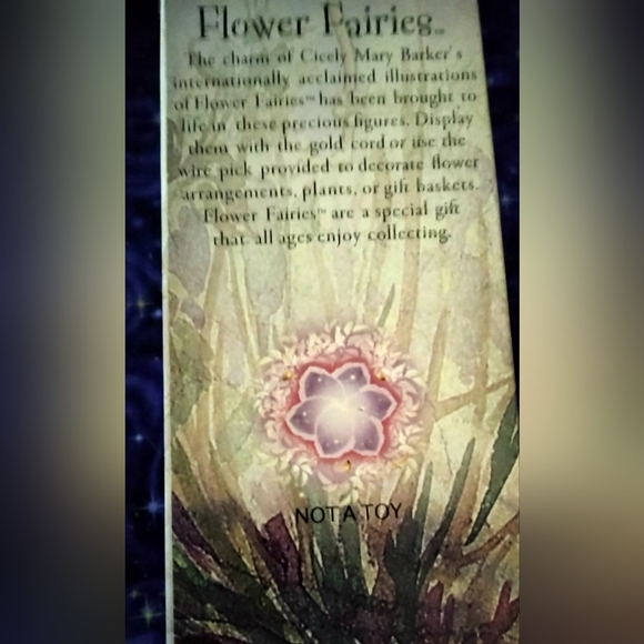 Holly Fairy by Cicely Mary Barker The Original Flower Fairies Collection 2012 - Picture 5 of 9